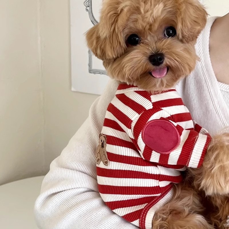 Kaos Anjing Bergaris, Rompi Mu - Sleeveless Undershirt ulasan dan harga